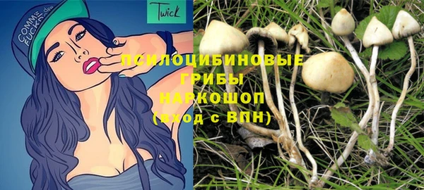 2c-b Волосово