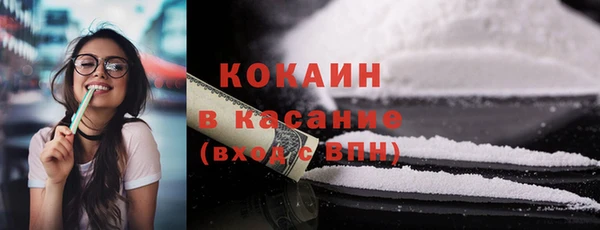 мдпв Вяземский