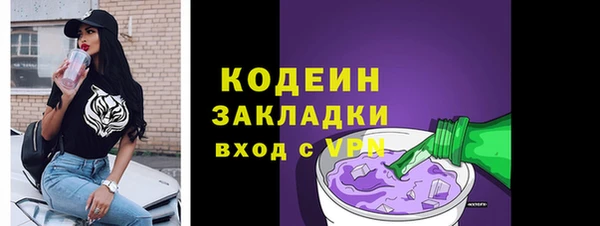мдпв Вяземский