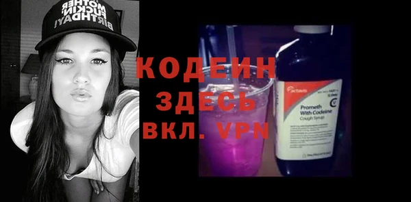 мдпв Вяземский
