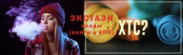 мдпв Вяземский