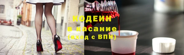 гашик Вязьма