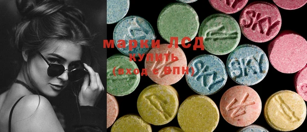 гашик Вязьма