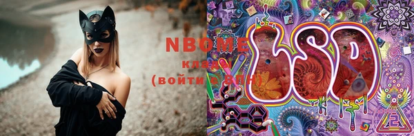 гашик Вязьма