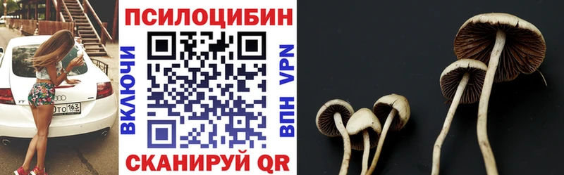 Псилоцибиновые грибы мицелий  OMG   Верхоянск 